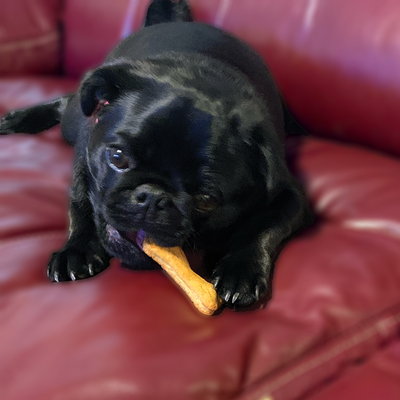 Miss Bee Haven Honey Bones