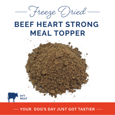 Beef Supplement with Taurine for Dogs & Cats