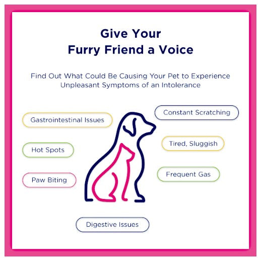 UCARI Pet Intolerance Kits identify skin, ear, & digestive issues.